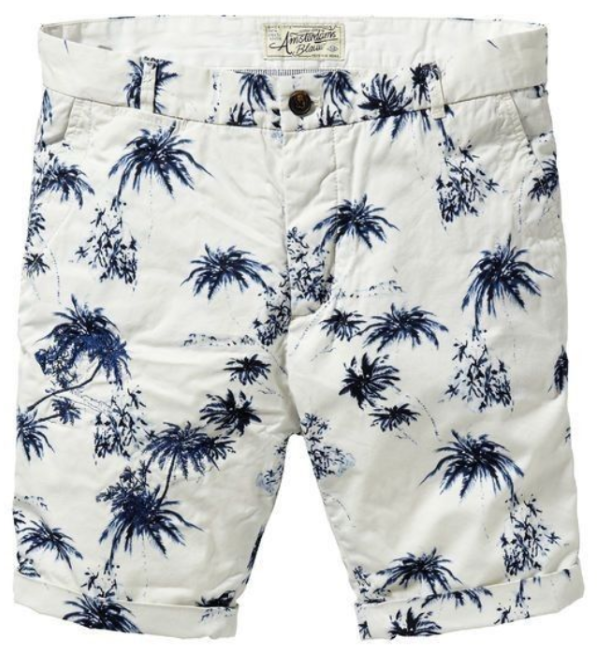 AOP Regular Fit Beach Wear Short Men's